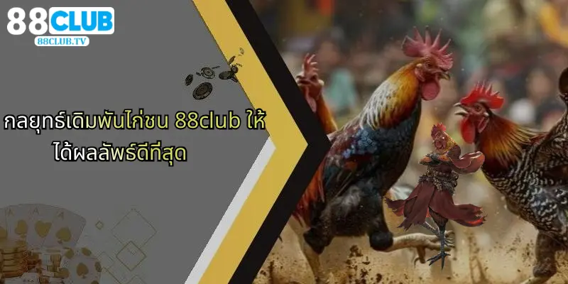กลยุทธ์เดิมพันไก่ชน 88club ให้ได้ผลลัพธ์ดีที่สุด