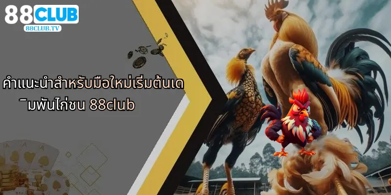 คำแนะนำสำหรับมือใหม่เริ่มต้นเดิมพันไก่ชน 88club
