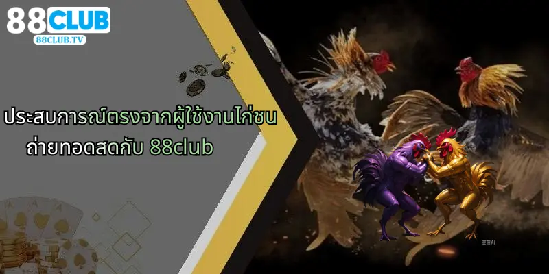 ประสบการณ์ตรงจากผู้ใช้งานไก่ชนถ่ายทอดสดกับ 88club