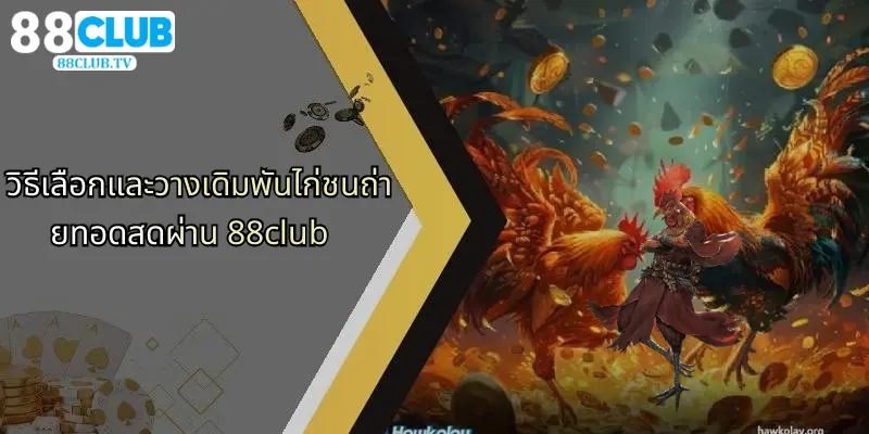 วิธีเลือกและวางเดิมพันไก่ชนถ่ายทอดสดผ่าน 88club