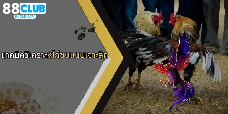 เทคนิควิเคราะห์ไก่ชนแบบเจาะลึก