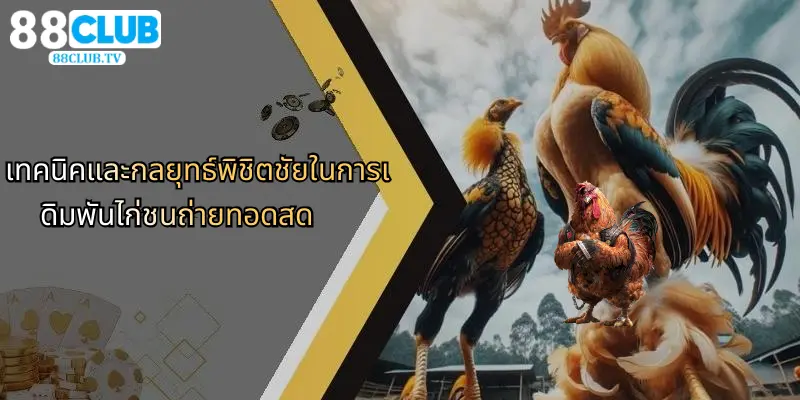 เทคนิคและกลยุทธ์พิชิตชัยในการเดิมพันไก่ชนถ่ายทอดสด