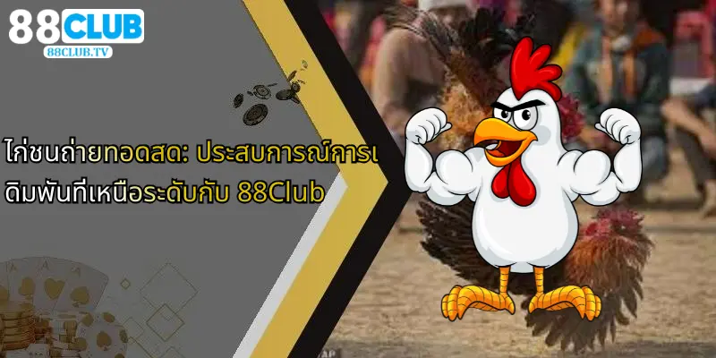 ไก่ชนถ่ายทอดสด-ประสบการณ์การเดิมพันที่เหนือระดับกับ-88club