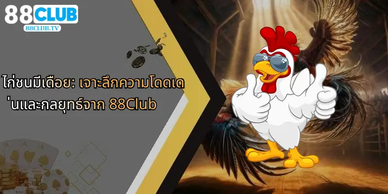 ไก่ชนมีเดือย-เจาะลึกความโดดเด่นและกลยุทธ์จาก-88club